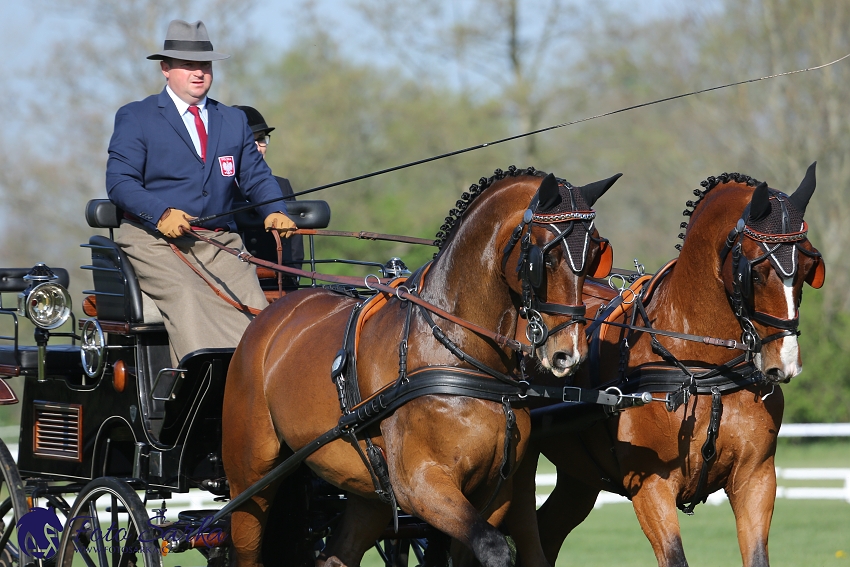 Kladruby 2019 - čtvrtek + pátek - drezury