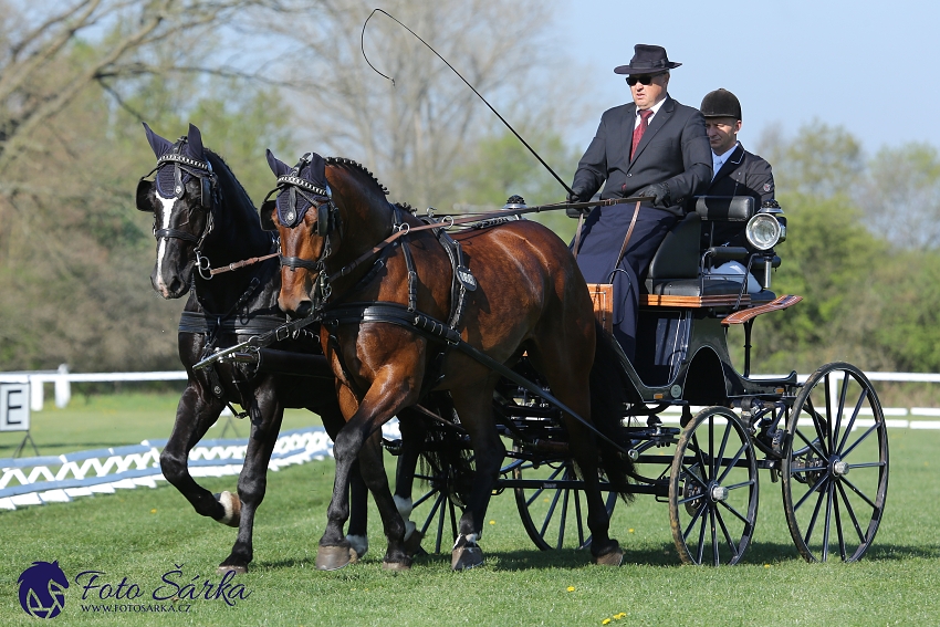 Kladruby 2019 - čtvrtek + pátek - drezury