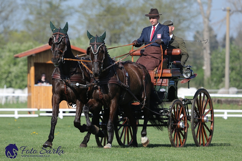 Kladruby 2019 - čtvrtek + pátek - drezury