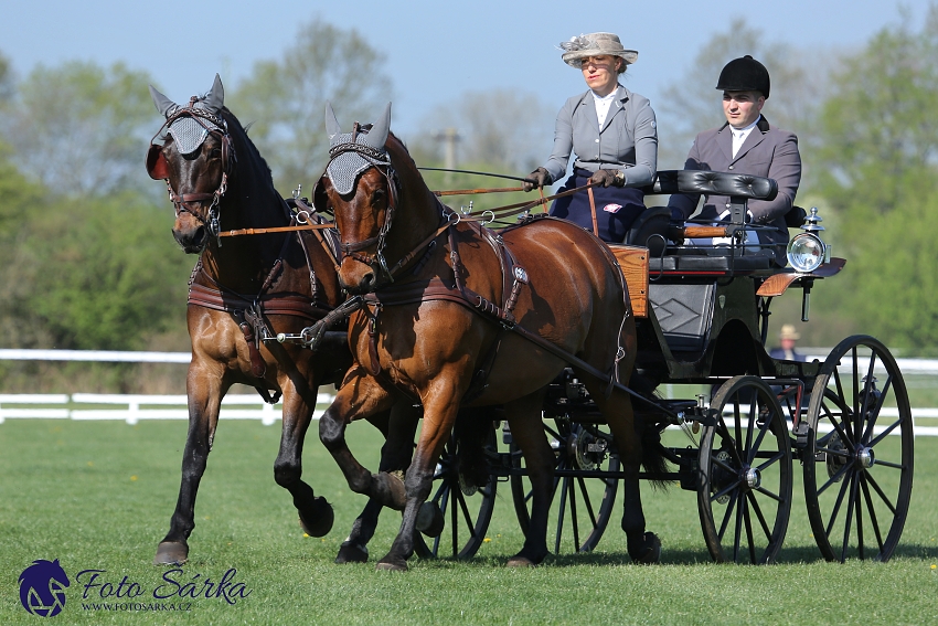 Kladruby 2019 - čtvrtek + pátek - drezury