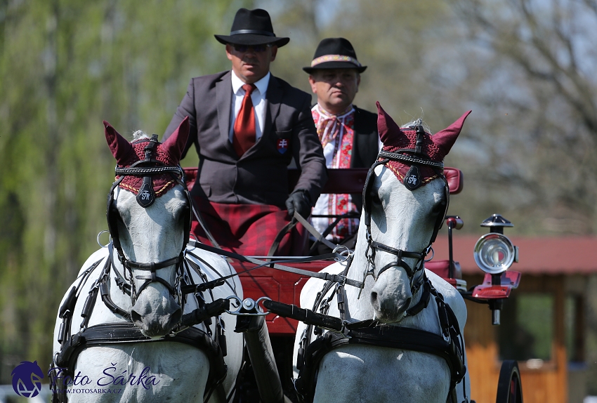 Kladruby 2019 - čtvrtek + pátek - drezury