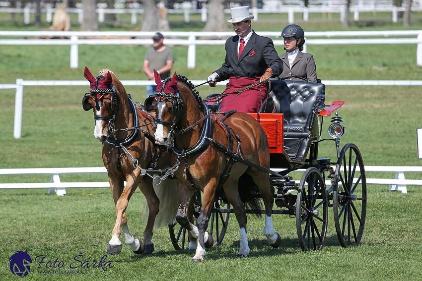 Kladruby 2019 - čtvrtek + pátek - drezury