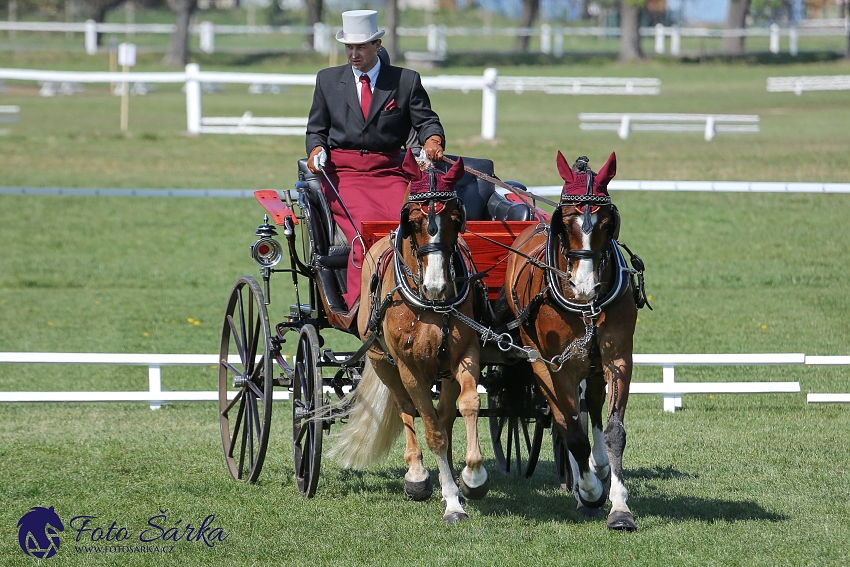 Kladruby 2019 - čtvrtek + pátek - drezury