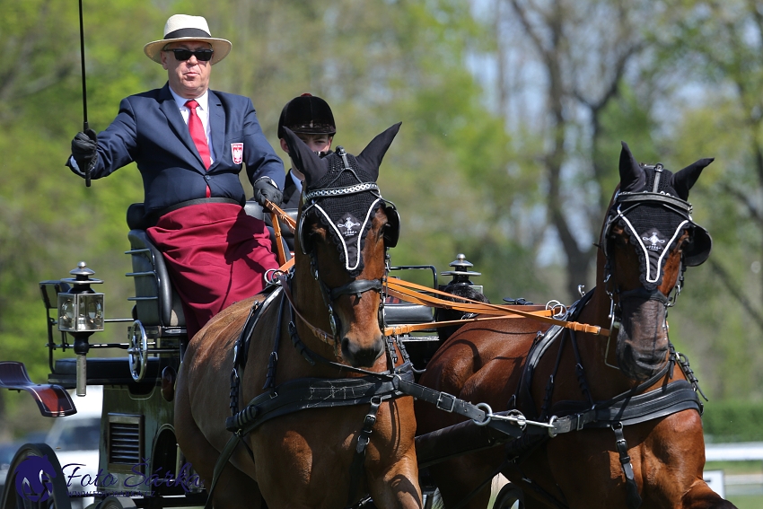 Kladruby 2019 - čtvrtek + pátek - drezury