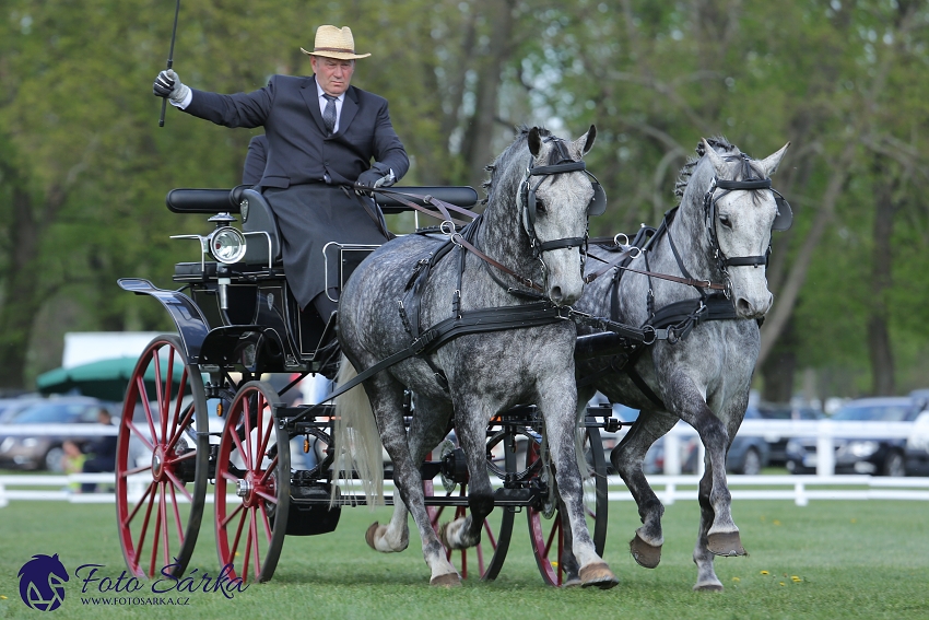 Kladruby 2019 - čtvrtek + pátek - drezury