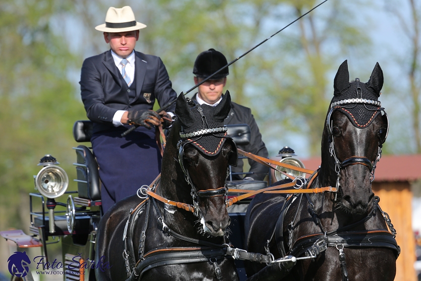 Kladruby 2019 - čtvrtek + pátek - drezury