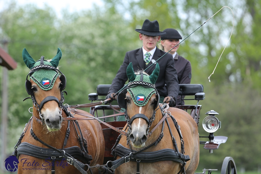 Kladruby 2019 - čtvrtek + pátek - drezury