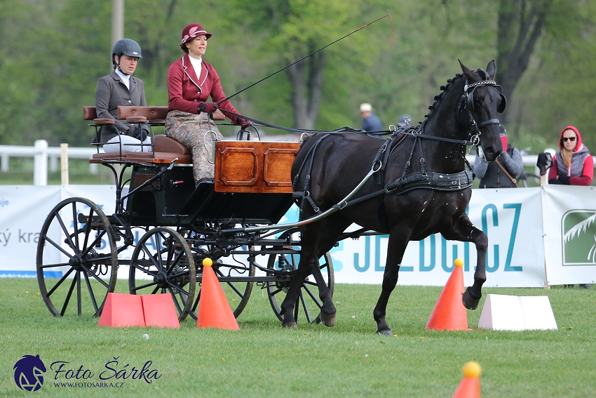 Kladruby 2019 - neděle - finále