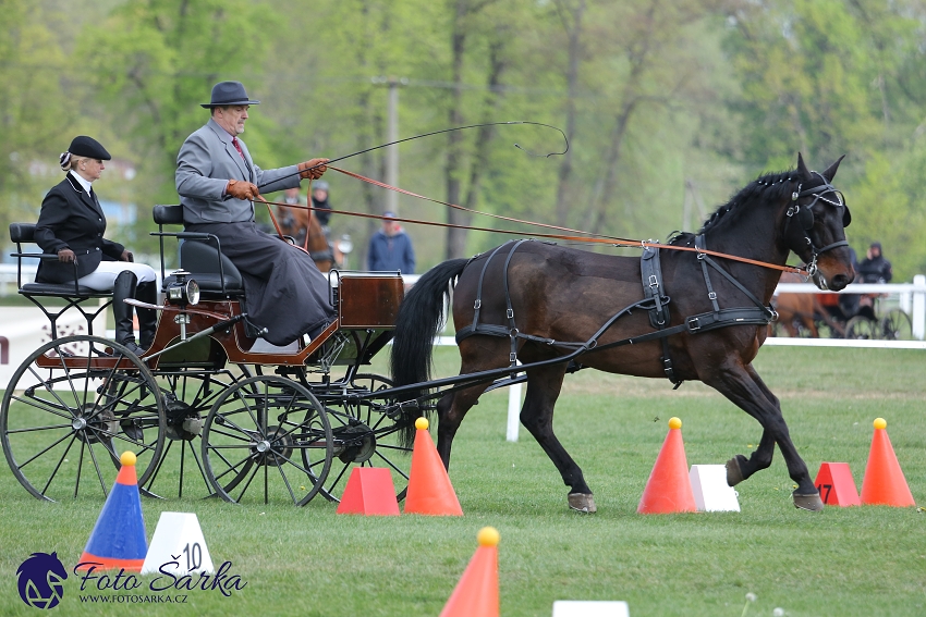 Kladruby 2019 - neděle - finále