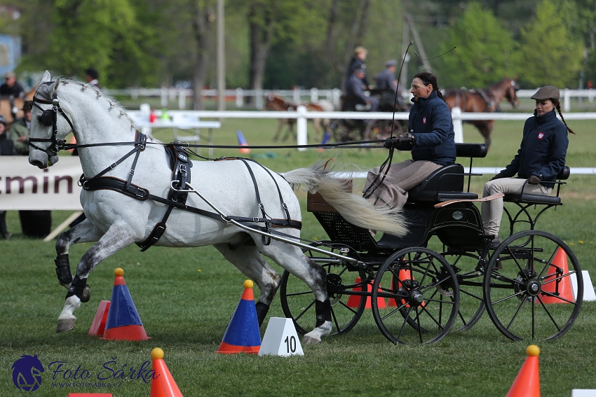 Kladruby 2019 - neděle - finále
