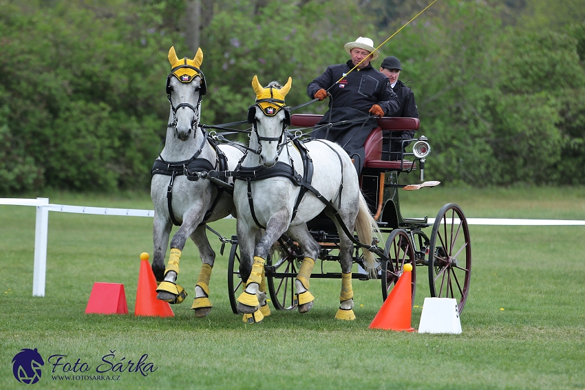 Kladruby 2019 - neděle - finále