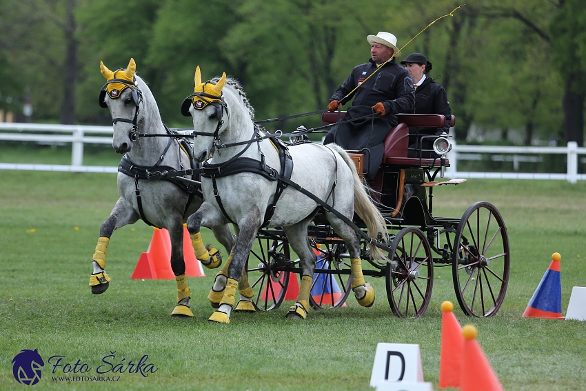 Kladruby 2019 - neděle - finále