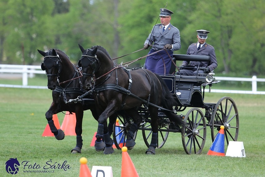 Kladruby 2019 - neděle - finále