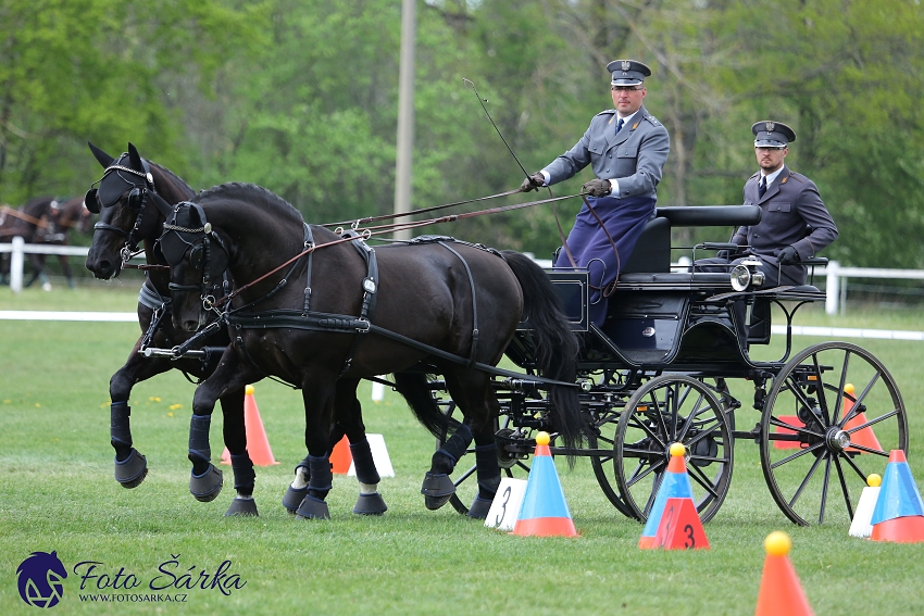 Kladruby 2019 - neděle - finále