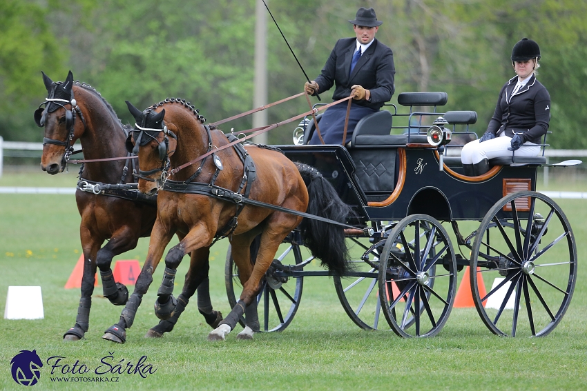 Kladruby 2019 - neděle - finále