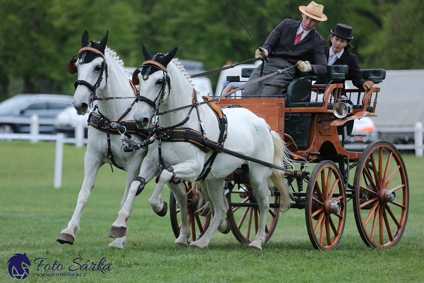 Kladruby 2019 - neděle - finále