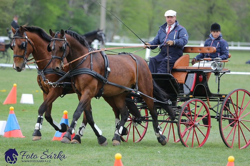 Kladruby 2019 - neděle - finále