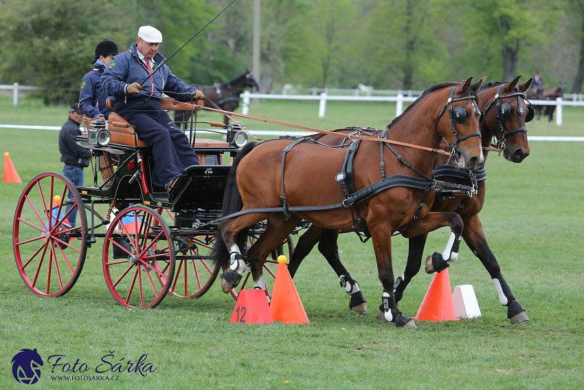 Kladruby 2019 - neděle - finále