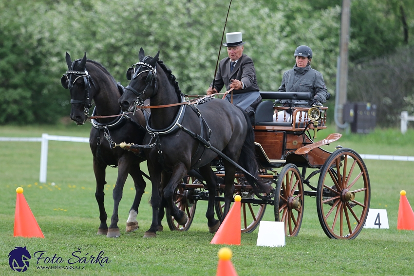 Kladruby 2019 - neděle - finále