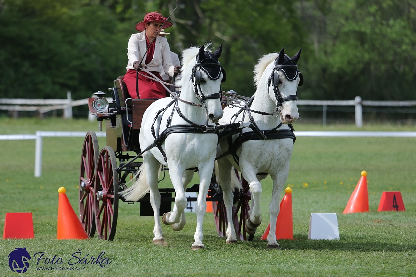 Kladruby 2019 - neděle - finále