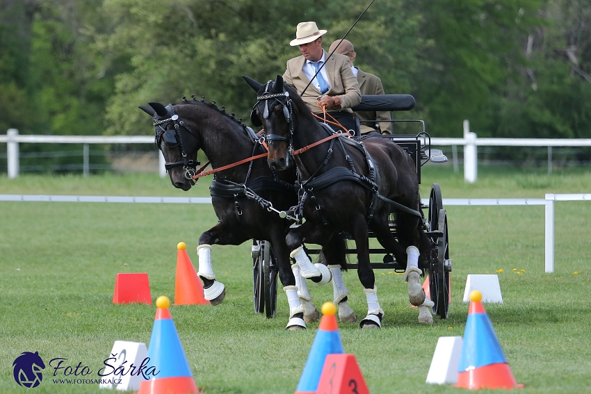 Kladruby 2019 - neděle - finále