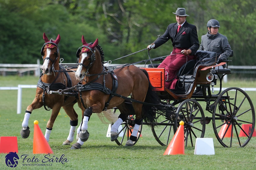 Kladruby 2019 - neděle - finále