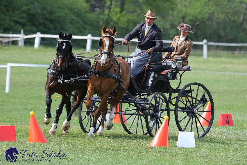 Kladruby 2019 - neděle - finále