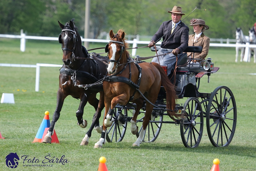 Kladruby 2019 - neděle - finále