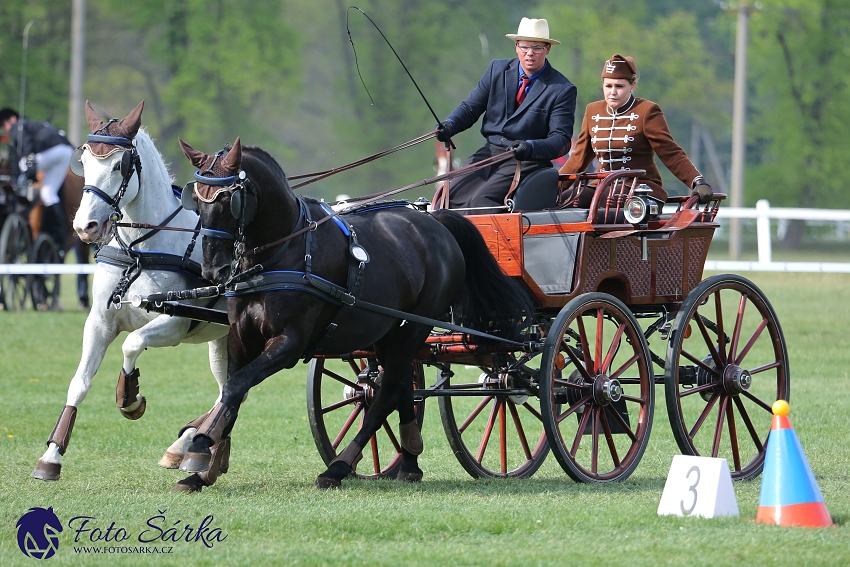 Kladruby 2019 - neděle - finále