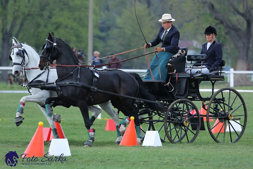 Kladruby 2019 - neděle - finále