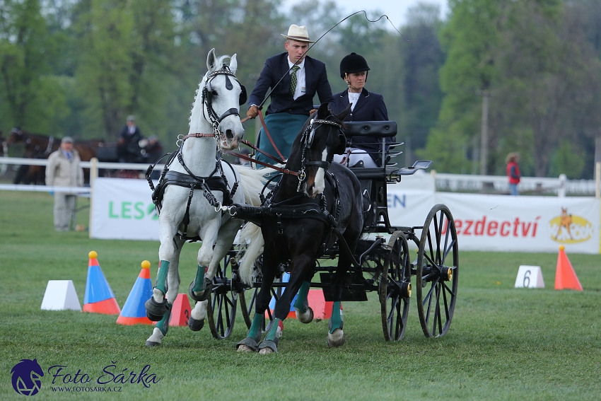 Kladruby 2019 - neděle - finále