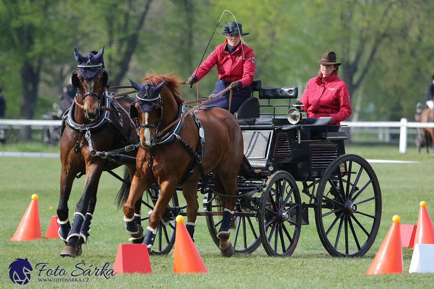 Kladruby 2019 - neděle - finále