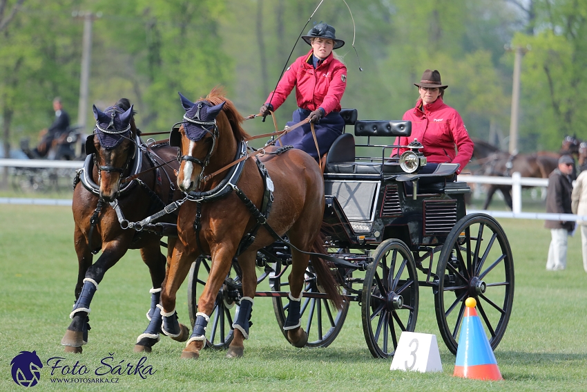 Kladruby 2019 - neděle - finále