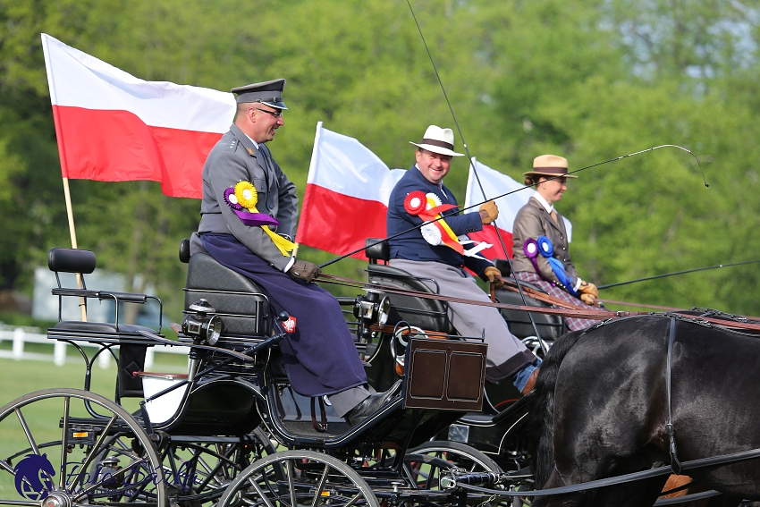 Kladruby 2019 - neděle - finále