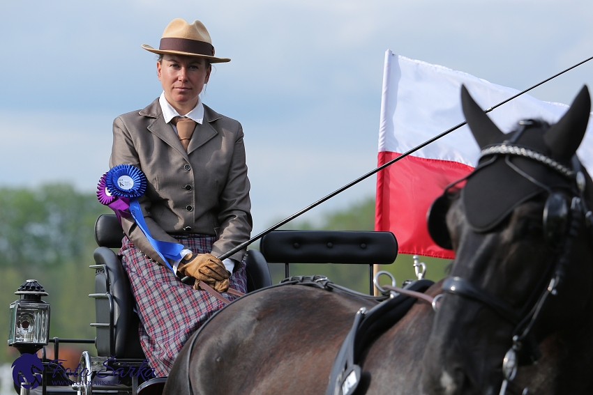 Kladruby 2019 - neděle - finále