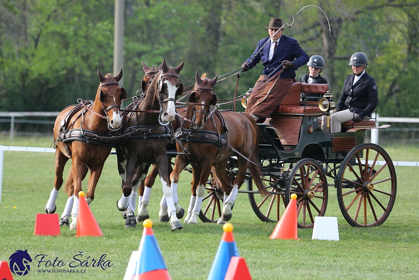 Kladruby 2019 - neděle - finále