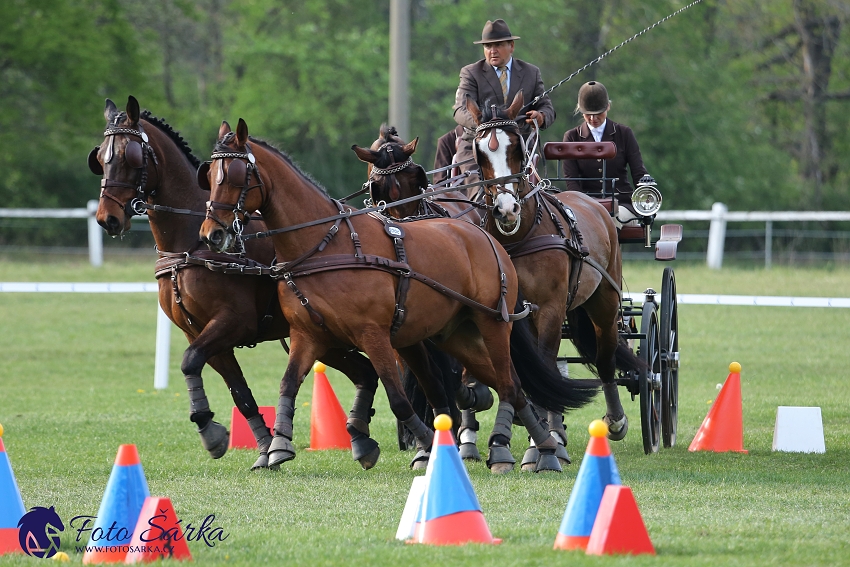 Kladruby 2019 - neděle - finále