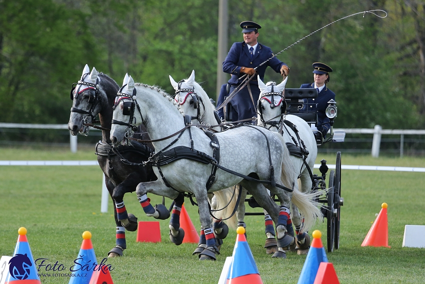 Kladruby 2019 - neděle - finále