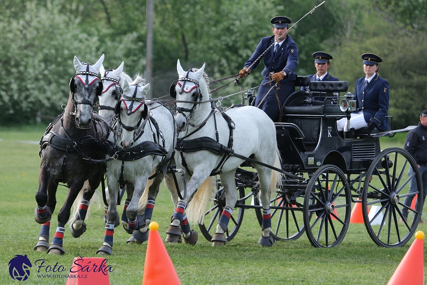 Kladruby 2019 - neděle - finále