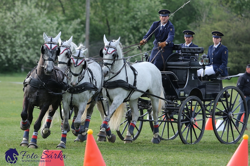 Kladruby 2019 - neděle - finále