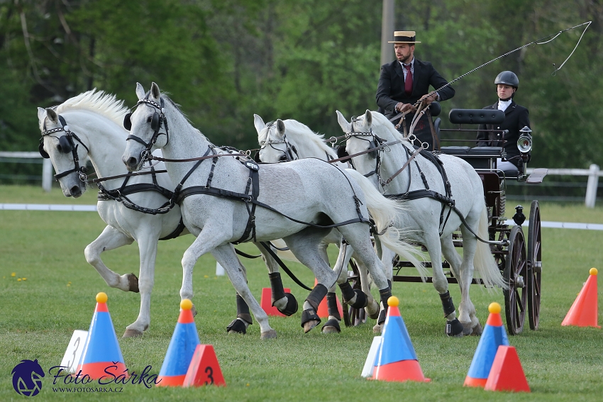 Kladruby 2019 - neděle - finále