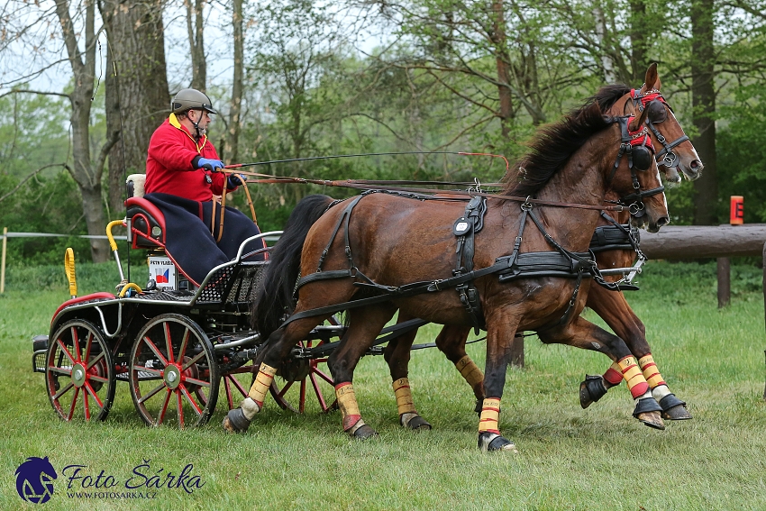 Kladruby 2019 - sobota - maraton