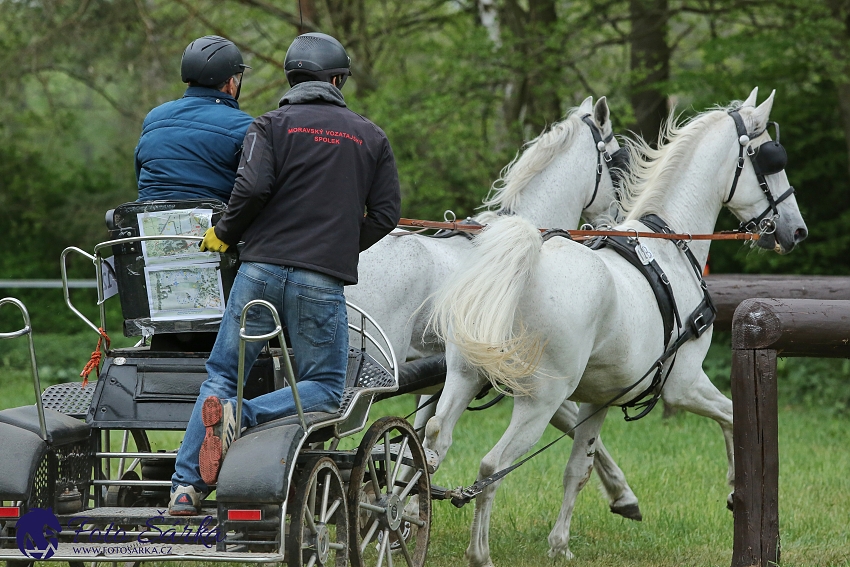 Kladruby 2019 - sobota - maraton