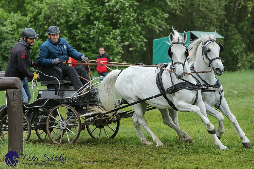 Kladruby 2019 - sobota - maraton