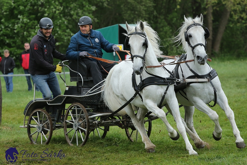 Kladruby 2019 - sobota - maraton