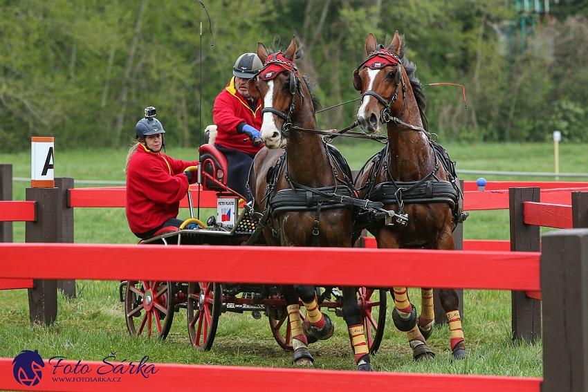 Kladruby 2019 - sobota - maraton