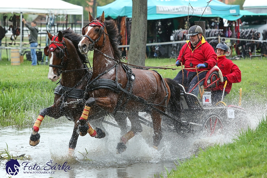 Kladruby 2019 - sobota - maraton