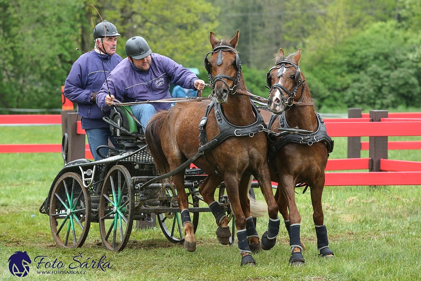 Kladruby 2019 - sobota - maraton