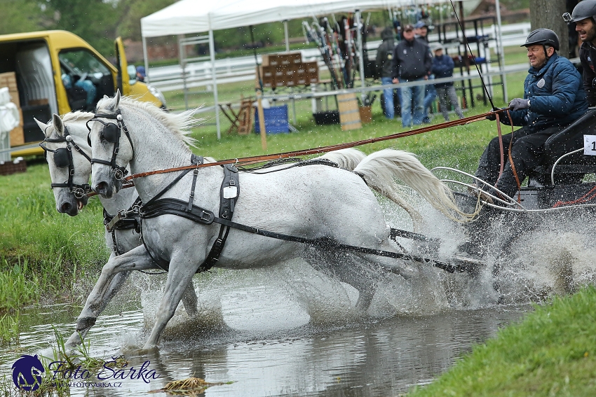 Kladruby 2019 - sobota - maraton