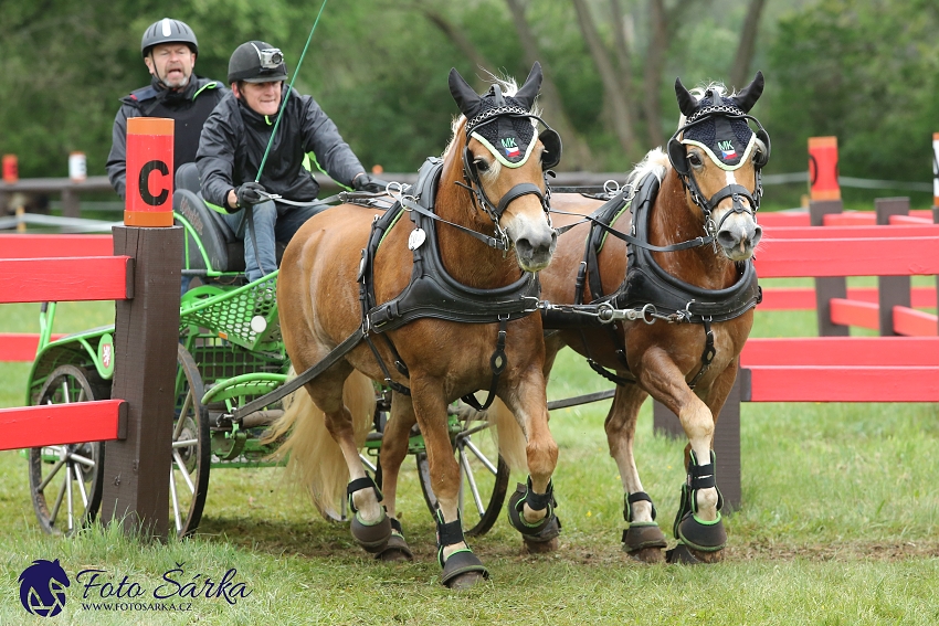 Kladruby 2019 - sobota - maraton